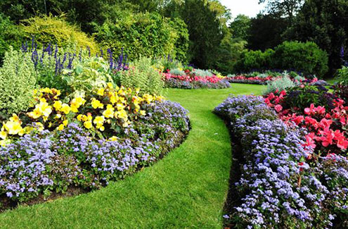 a beautifully landscaped garden and walkway