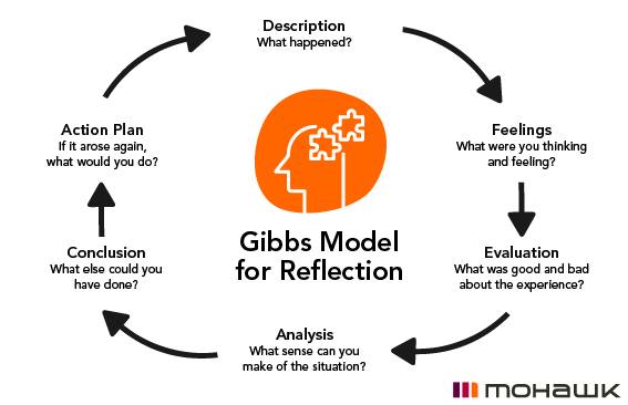 gibbs model of reflection examples