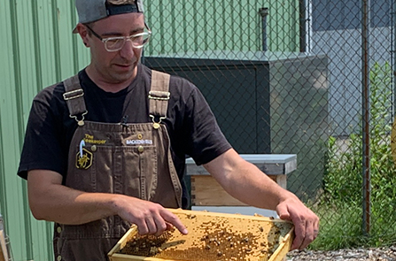 bee keeper inspecting honey super frame